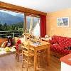 Apartmani LEcrin des Neiges Chamrousse Francuska 5